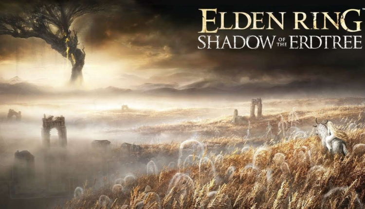 Segurem os corações, gamers! Rumores apontam para a chegada da DLC de Elden Ring em 25/02. Será verdade? Fique de olho!