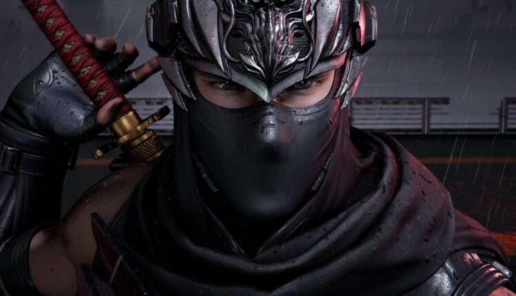 Are You Playing Ninja Gaiden 4?